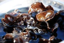 黑木耳功效多!2种吃法,补铁养血,降脂降糖!-古法玉灵膏官方网站