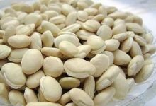 它是夏天第一豆，拔除湿气、健脾止泻……比鸡蛋还营养！-古法玉灵膏官方网站