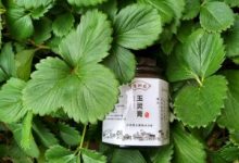 贡轩园玉灵膏药店有卖吗?玉灵膏哪些人不能吃?-古法玉灵膏官方网站