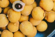 龙眼肉,真的不只是好吃而已!-古法玉灵膏官方网站